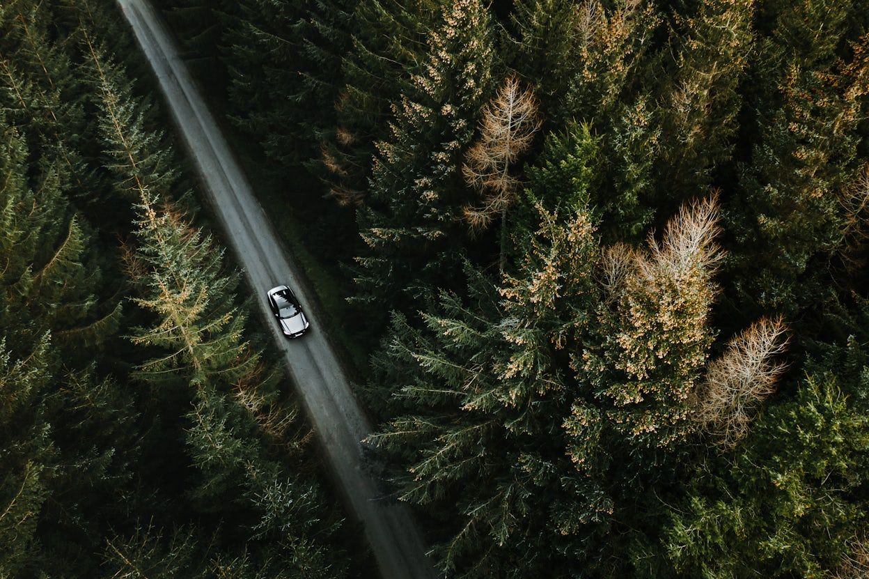 A grey Polestar 1 driving on a forest road photographed from above.