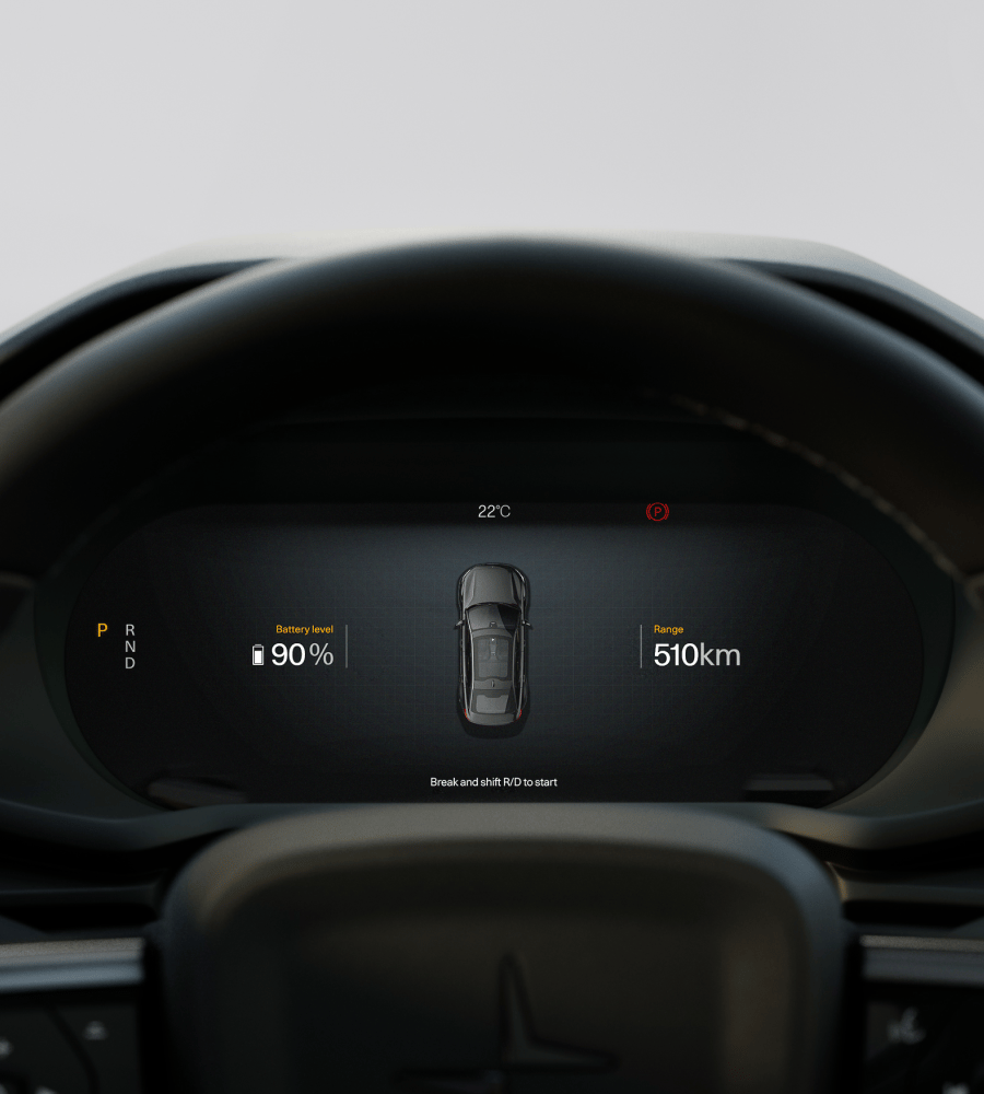 Stearing wheel and close up of driver display.
