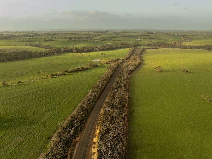 An aerial view of a winding road on Kangaroo Island, flanked by pastures of green grass and trees.